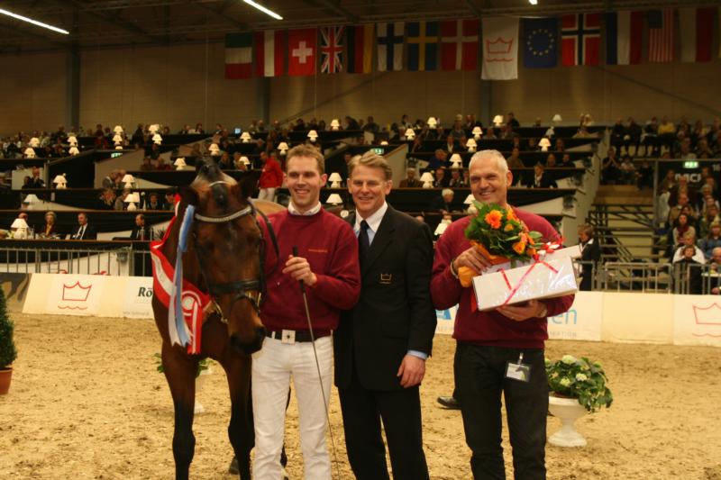 Herning 2008
Coulthard blev endelig kåret og fløjhingst blandt 5-års hingstene.