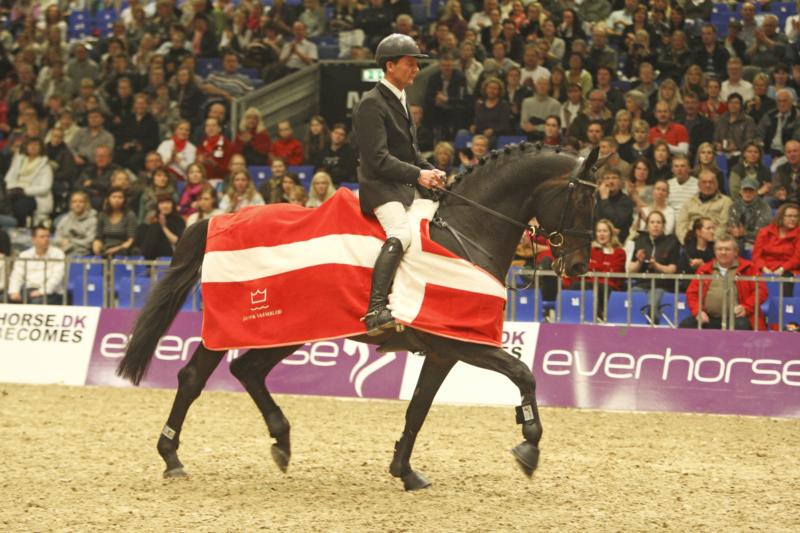 Cajus Årets Hingst 2009