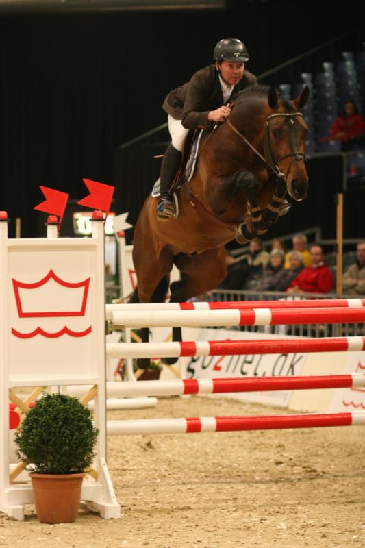 
Party Dance e. Cajus
Vinder af unghestechampionatet 2008