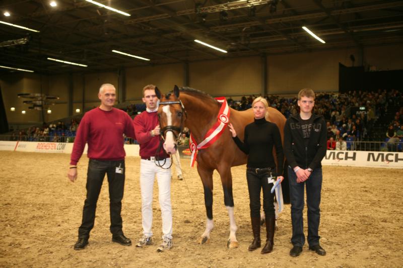 Herning 2008
Cosmeo tog fløjen blandt 4-års hingstene.