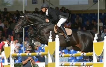 Søren Knudsen og hingstestationens flagskib Cajus har været en del af Stald Cajus' succes igennem adskillige år.