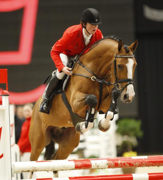 Cross My Heart obtained final crowning/grading and recieved Elvin Rasmussen's challenge trophy being the best Danish bred show jumping emphasized stallion in the four-year-old group. He also recieved a silver medal.