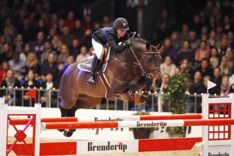 Party Dance, sire: Cajus obtained final crowning/grading and he also recived a silver medal.