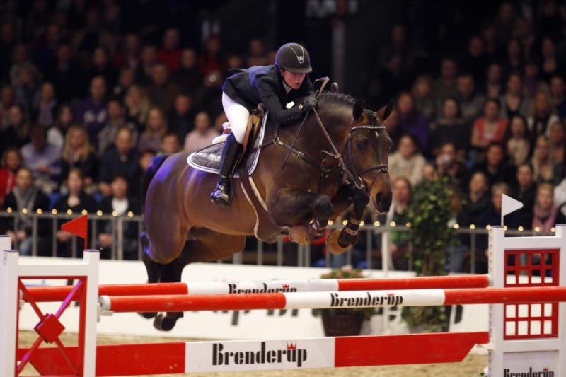 Party Dance, sire: Cajus, crowned/graded with a Silver Medal
