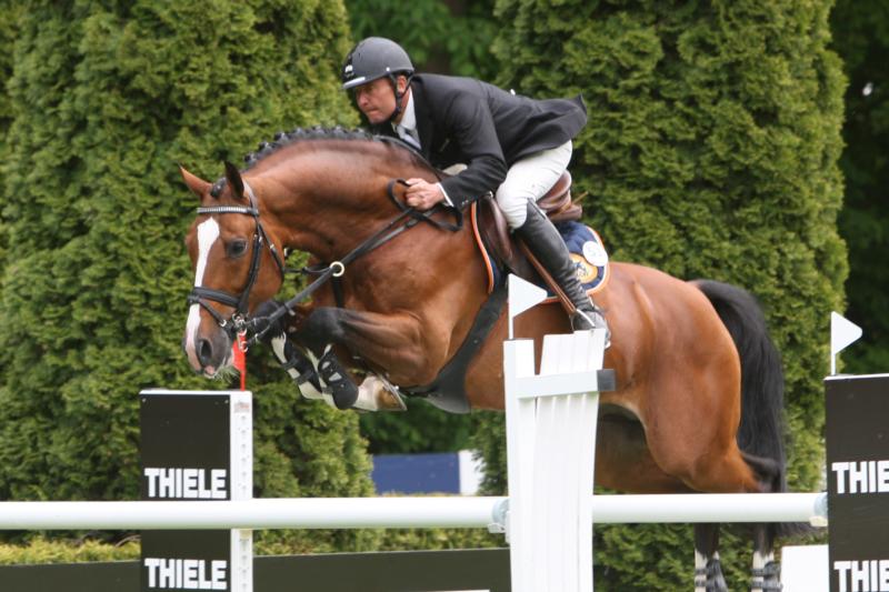 Five Heartbeat offspring elected to participate in The National Stallion Show 2010 in Herning, Denmark.
